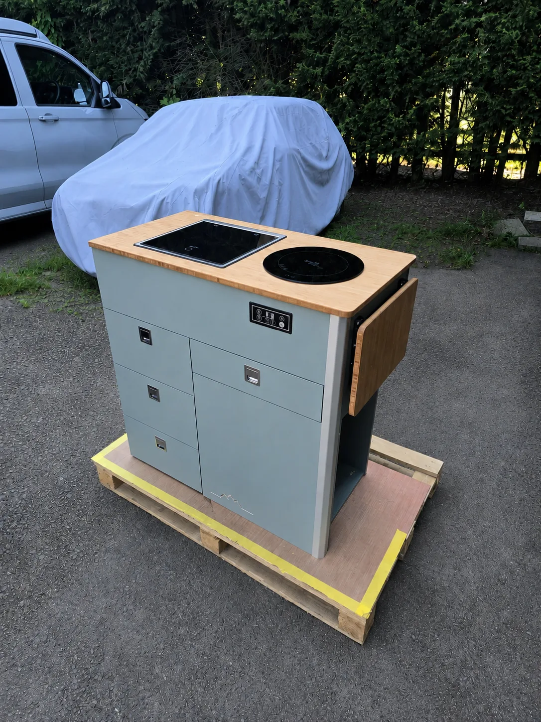 D1 Mini